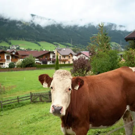 Near The Area In The Salzburg Region, Cleaning Included Lejlighed *